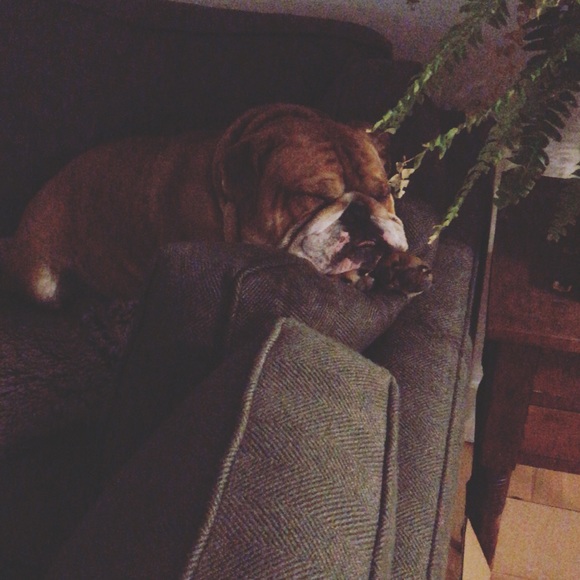 Meet your Posher, Shannon - Picture 1 of 1